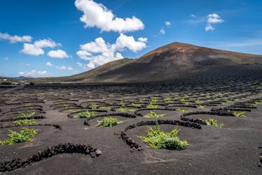 Timanfaya and south Lanzarote guided tour with wine tasting